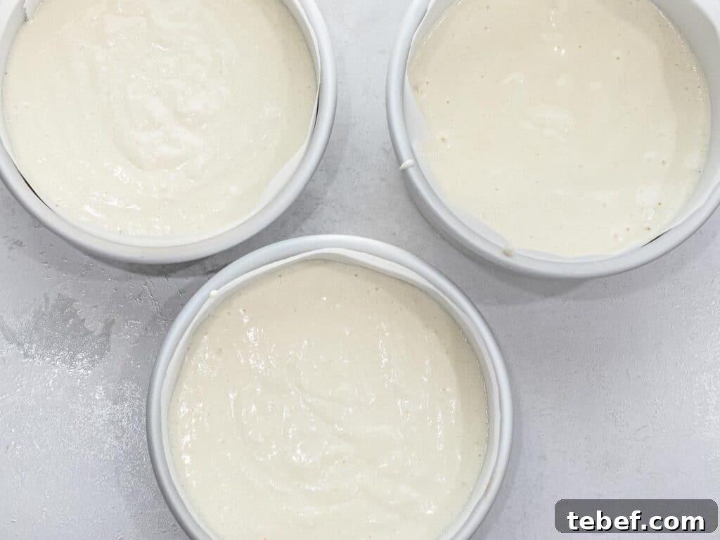 Authentic Japanese Strawberry Shortcake Recipe — Light, Fluffy Layers 23 sponge cake batter in three round cake pans lined with parchment paper