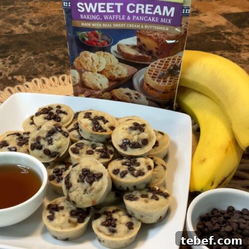 Banana Chocolate Chip Mini Muffins