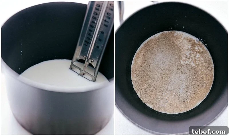 Heating milk and adding yeast for this recipe.
