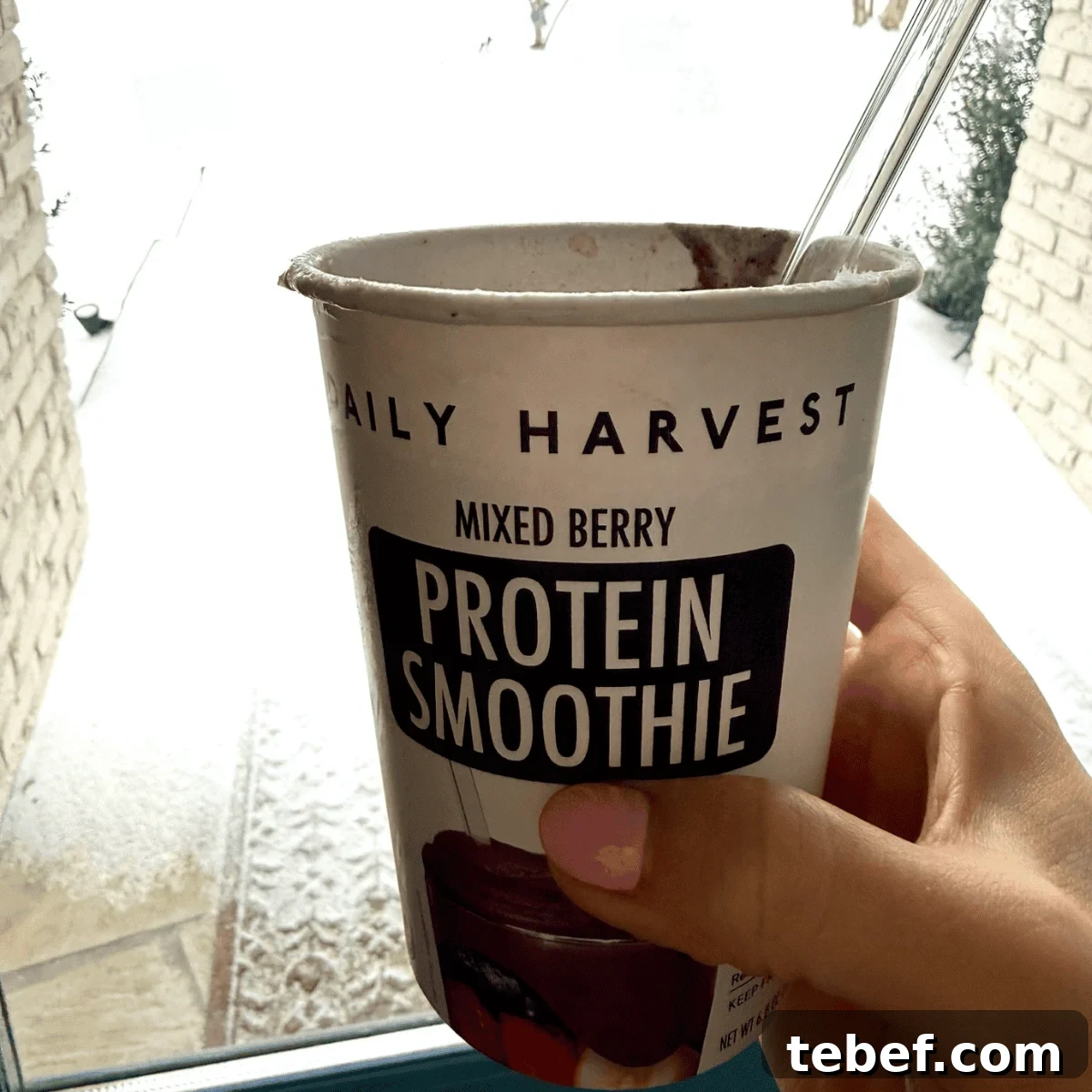 Daily Harvest Protein Smoothie