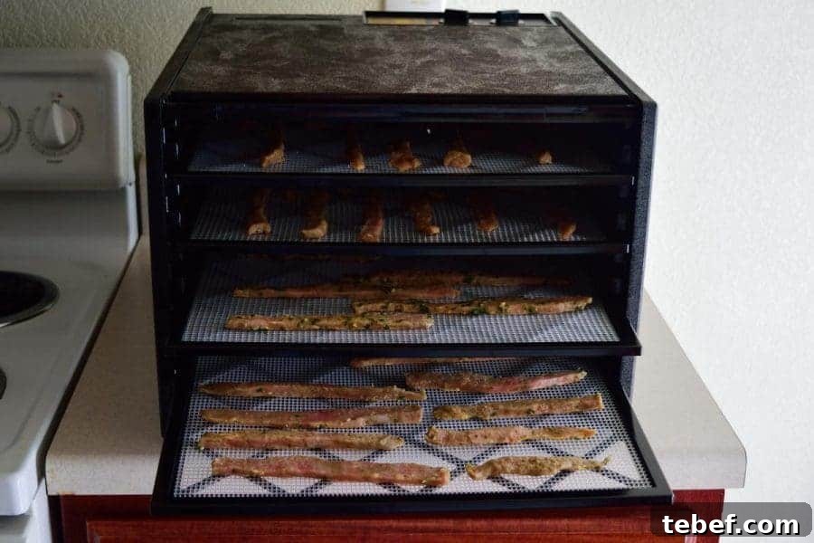 Thai-Spiced Beef Jerky Recipe: Sweet, Savory & Spicy Snack 5 Thai Spiced Beef Jerky Dehydrator