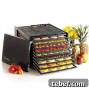 Thai-Spiced Beef Jerky Recipe: Sweet, Savory & Spicy Snack 8 Excalibur Dehydrator