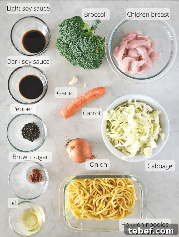 Chicken Noodle Stir-Fry with Garlic Soy Glaze 3 Ingredients for this recipe