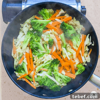Chicken Noodle Stir-Fry with Garlic Soy Glaze 6 img 787 5