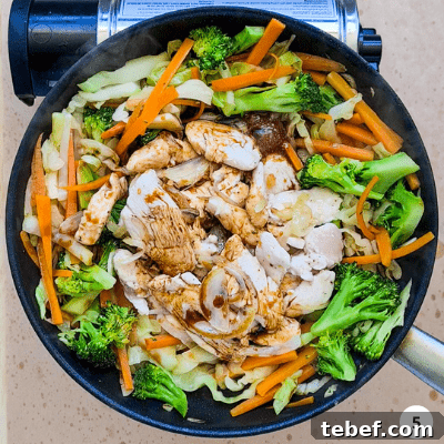 Chicken Noodle Stir-Fry with Garlic Soy Glaze 8 img 787 7