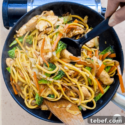 Chicken Noodle Stir-Fry with Garlic Soy Glaze 9 img 787 8
