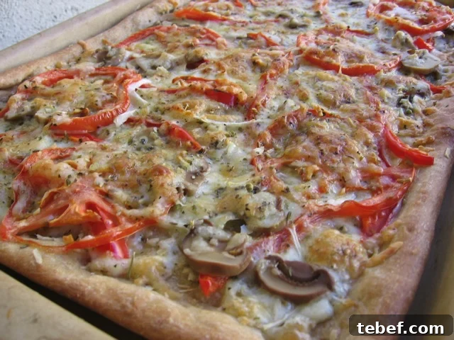 Three-Cheese Garden Vegetable Pizza on Whole Wheat Crust 2 Easy Healthy 3 Cheese Garden Vegetable Pizza up close.