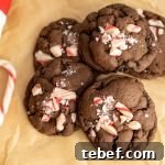 Gluten-Free Eggless Peppermint Mocha Cookies Recipe 7 img 8033 6
