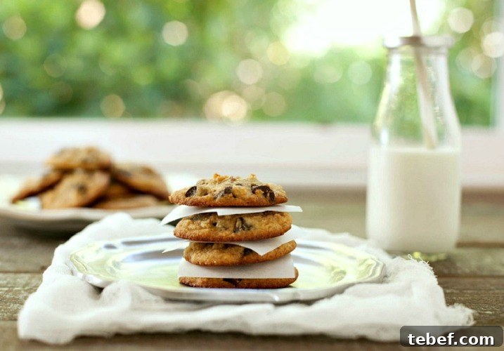 Paleo Chocolate Chip Cookie Recipe: Gluten-Free Treat 5 Best Chocolate Chip Cookies Paleo & Low Carb Version. Super tasty, grain free cookies with a sugar free version