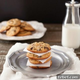 Paleo Chocolate Chip Cookie Recipe: Gluten-Free Treat 6 Best Chocolate Chip Cookies Paleo & Low Carb Version. Super tasty, grain free cookies with a sugar free version