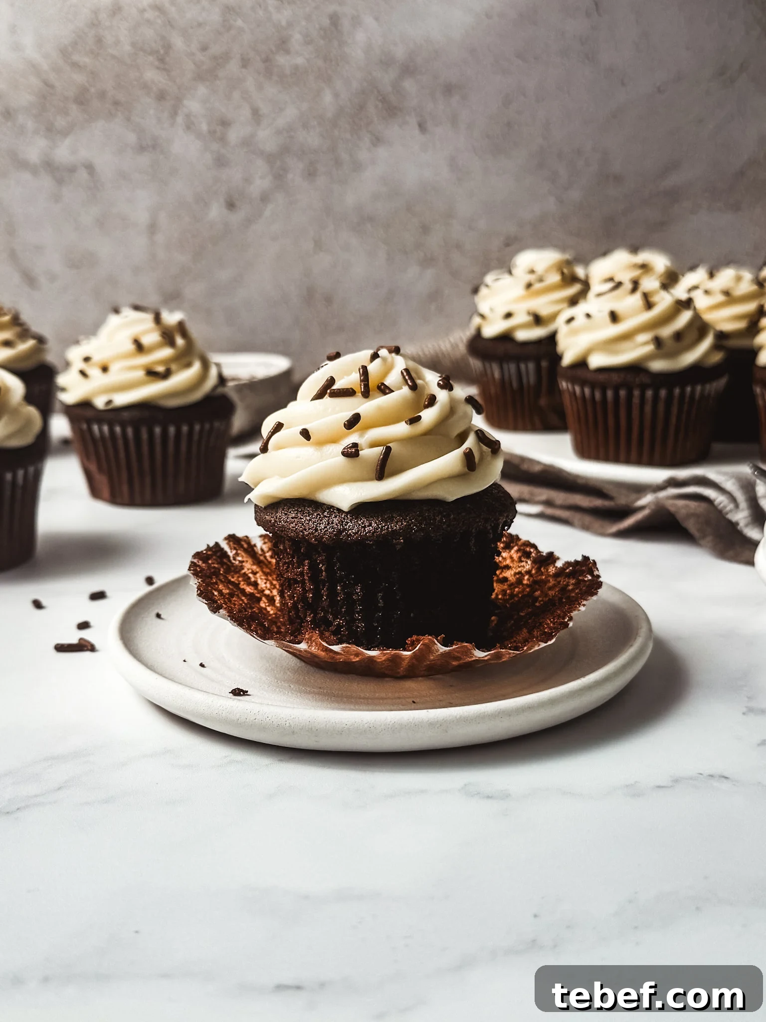 Moist Chocolate Cupcakes with Silky Cream Cheese Frosting 6 img 83861 5