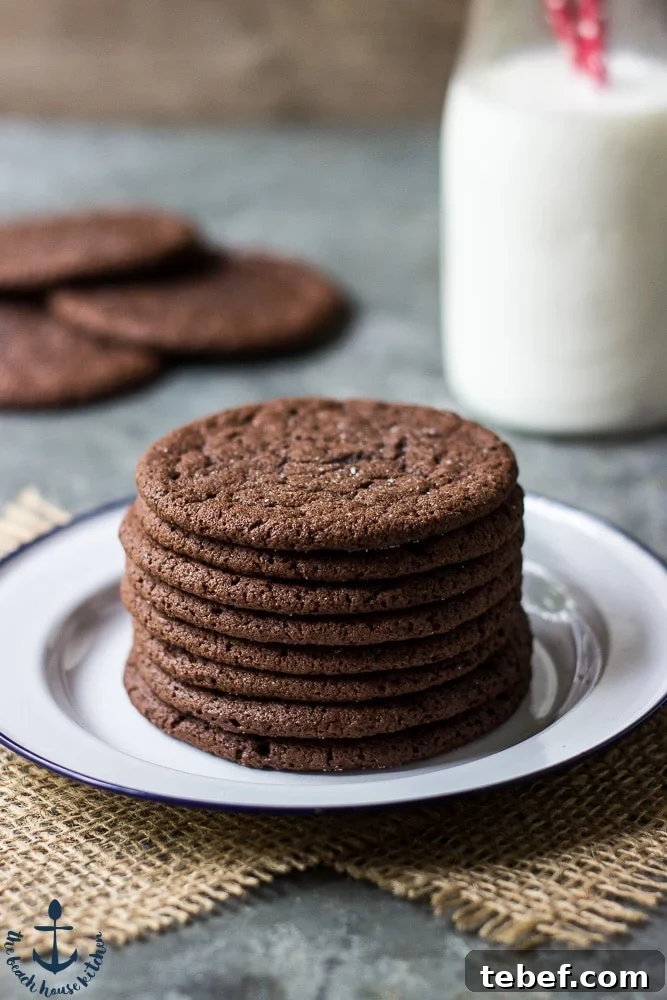 Plate of Mexican Chocolate Cookies 