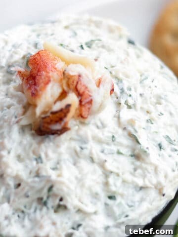 A bowl of fresh crab dip with cream cheese and a lump of fresh crab meat on top.