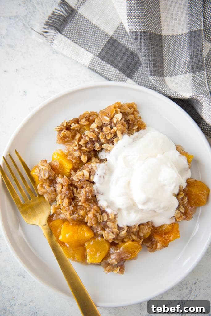Slow Cooker Fresh Peach Cobbler Recipe with Homemade Topping 13 Looking for a delicious treat to use all those farmer's market fresh peaches? Slow Cooker Peach Cobbler with Fresh Peaches and the most delicious Yogurt Whipped Cream is the perfect summer dessert!
