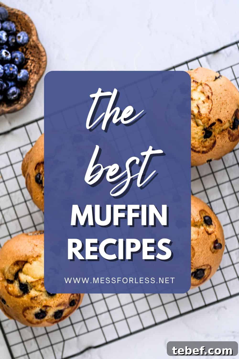 Delicious Muffin Recipes: 25 Quick, Flavor-Packed Ideas 2 Muffin Recipes Pin