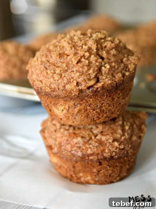 Delicious Muffin Recipes: 25 Quick, Flavor-Packed Ideas 4 The Best Banana Crumb Muffins
