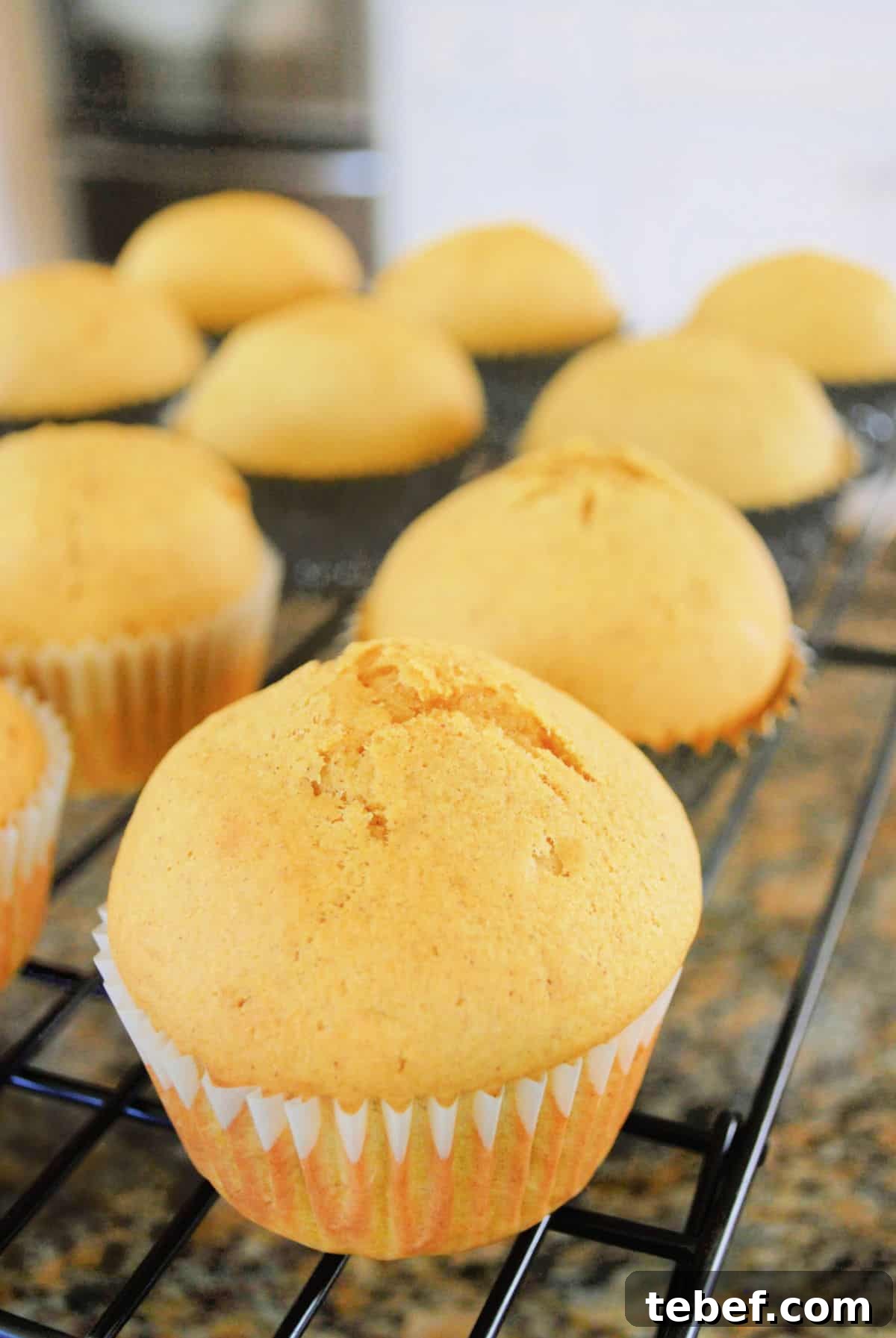 Delicious Muffin Recipes: 25 Quick, Flavor-Packed Ideas 5 carrot muffins