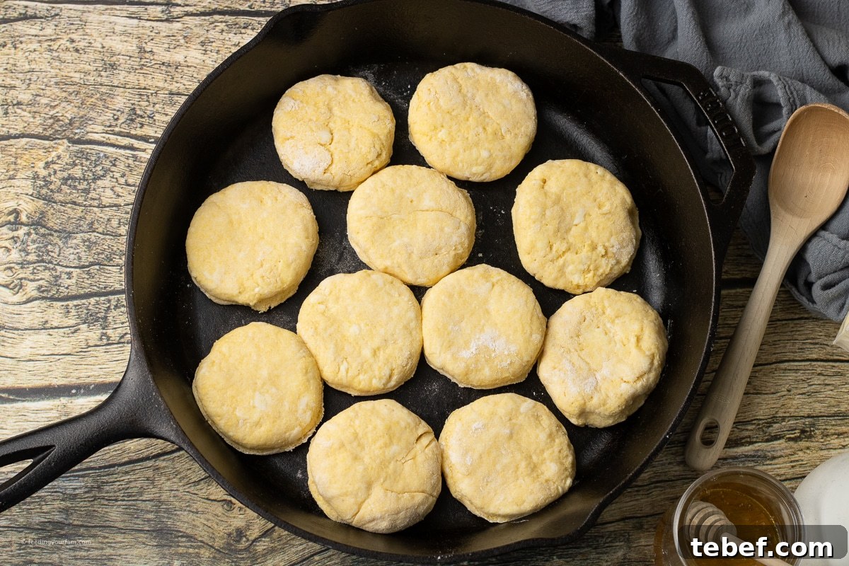 Skillet Cornmeal Biscuits: Crispy Golden Biscuits from Cast Iron 6 uncooked, round biscuits made with cornmeal in a cast iron skillet