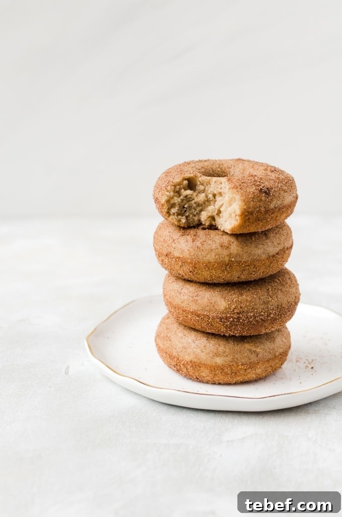 Breakfast is so much better with baked churro doughnuts! #doughnuts #donuts #churro stack of baked churro doughnuts on a plate