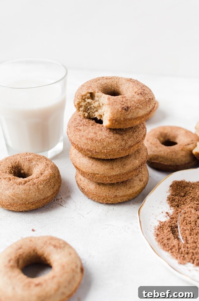 Fluffy churro doughnuts make for the best breakfasts #churro #doughnut #donut baked churro doughnuts with milk