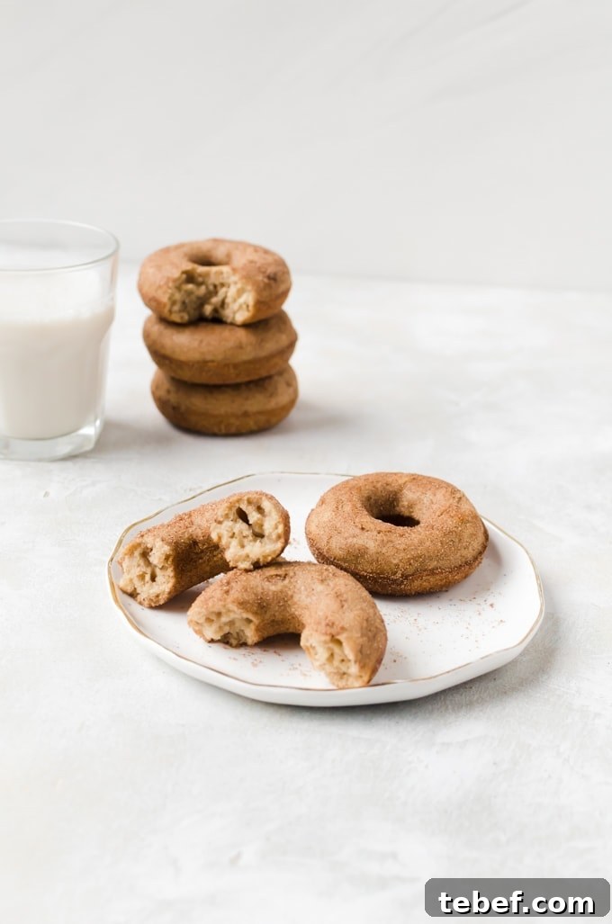 Nothing beats light and fluffy baked churro doughnuts baked churro douhnuts on a plate