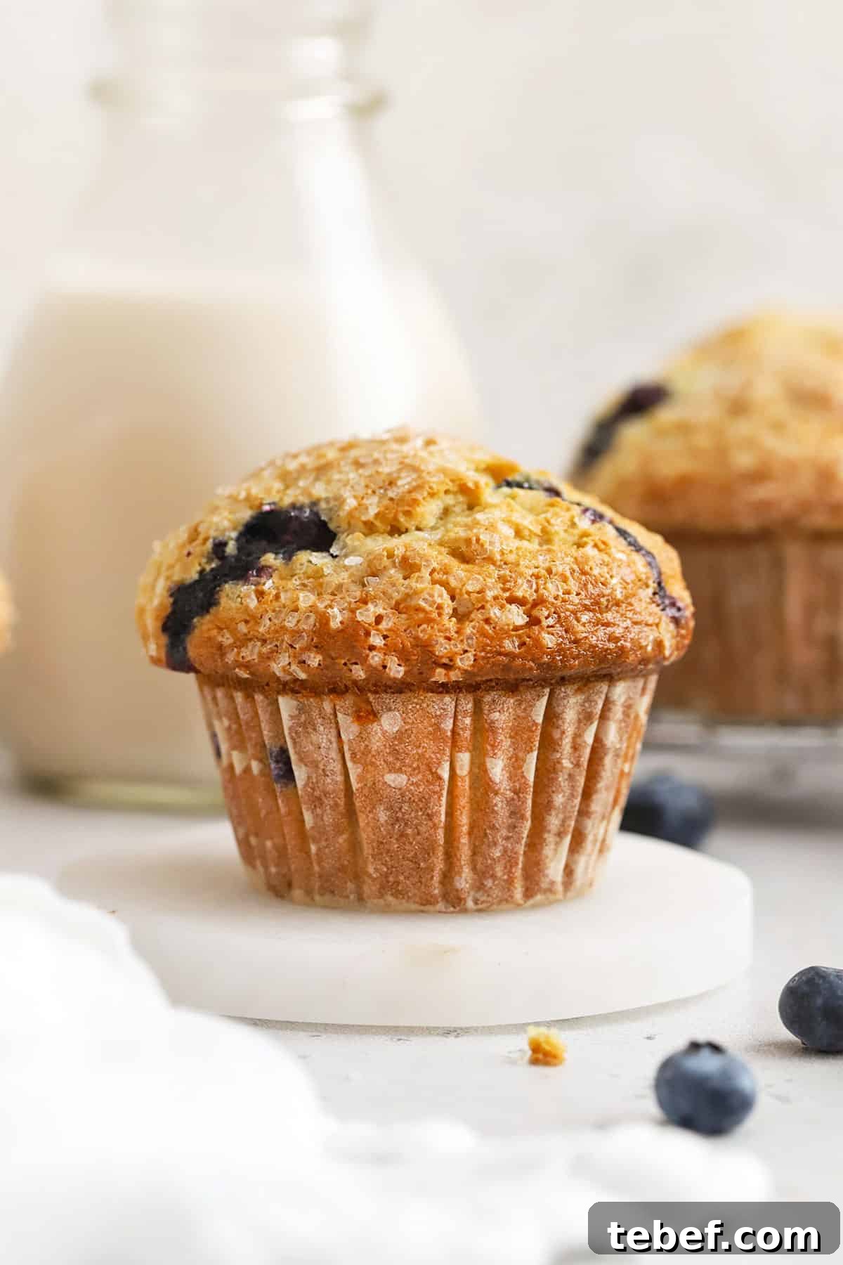 Gluten-Free Blueberry Muffins Recipe with Tender, Moist Texture 6 bakery-style gluten-free blueberry muffins with fresh blueberries