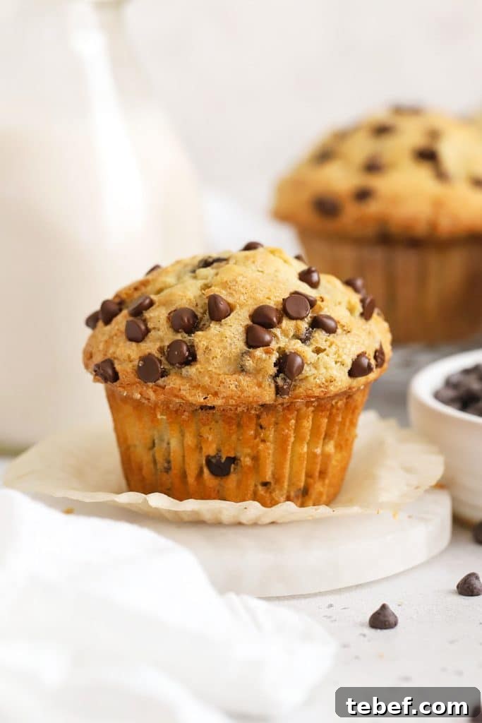 Gluten-Free Blueberry Muffins Recipe with Tender, Moist Texture 7 Bakery style gluten-free chocolate chip muffins with a bottle of milk