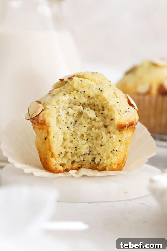 Gluten-Free Blueberry Muffins Recipe with Tender, Moist Texture 8 a gluten-free almond poppy seed muffin with a bite taken out of it to show the fluffy texture