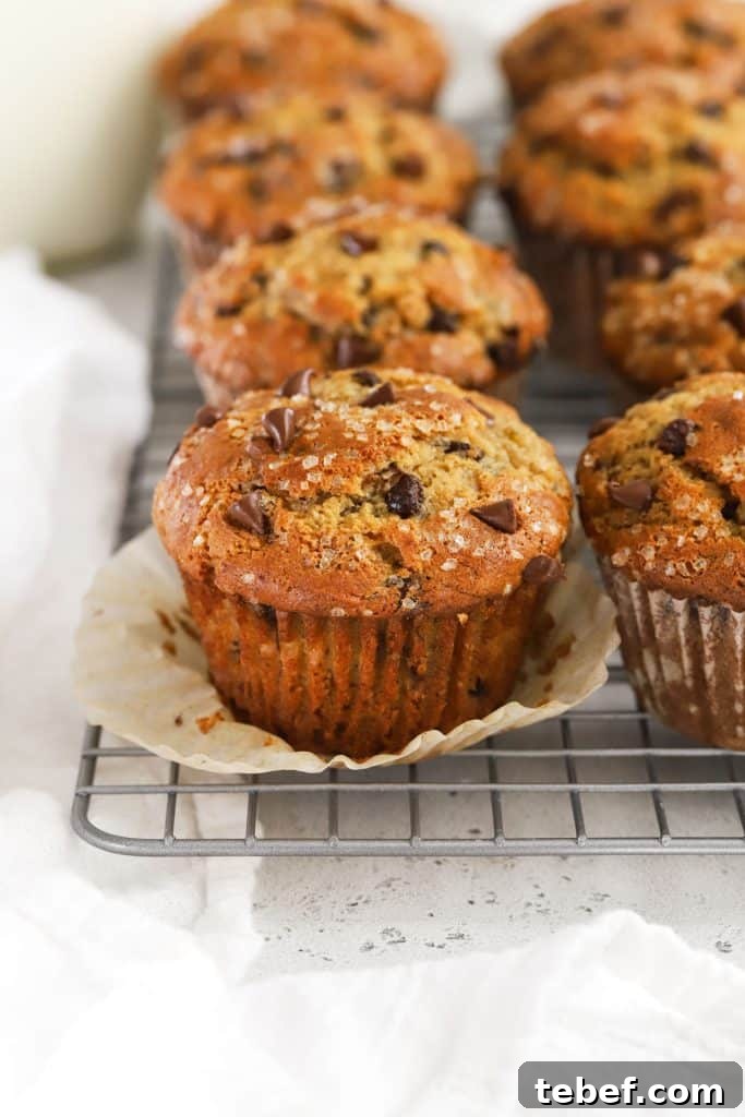 Gluten-Free Blueberry Muffins Recipe with Tender, Moist Texture 9 Gluten-Free Brown Butter Banana Chocolate Chip Muffins cooling on a wire rack