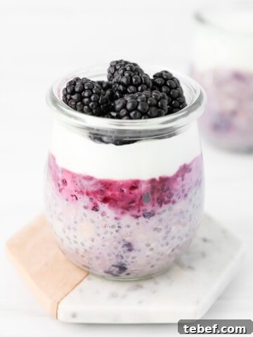 Blackberry chia seed oats in a jar with layers of jelly, yogurt, and fresh berries on top.