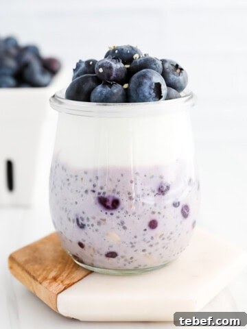 Blueberry and chia seed overnight oats in a clear glass jar with a layer of fresh blueberries and vanilla yogurt on top.