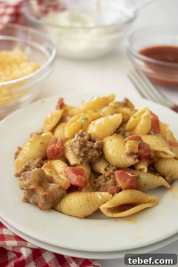 Cheesy Taco Pasta Bake with Ground Beef and Salsa Verde 2 Taco Pasta on a plate