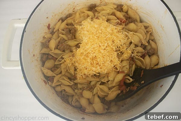 Cheesy Taco Pasta Bake with Ground Beef and Salsa Verde 12 Cheese added to pasta