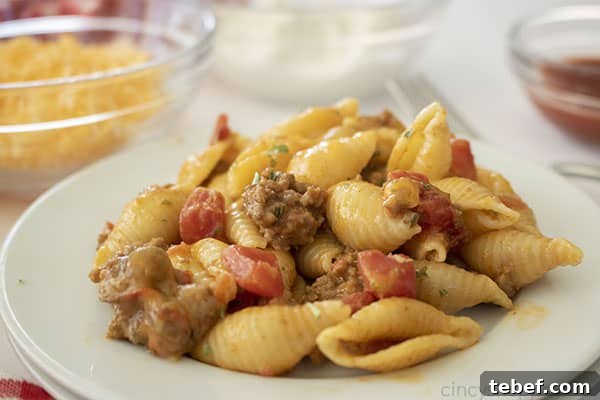 Cheesy Taco Pasta Bake with Ground Beef and Salsa Verde 13 Taco Mac and Cheese on a plate