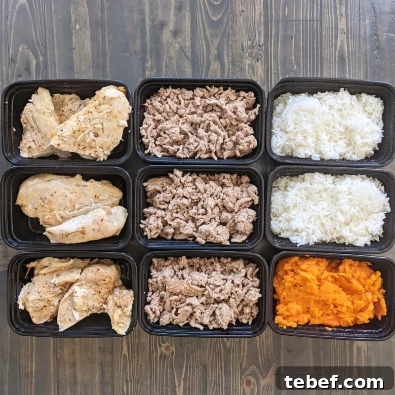 1500 Calorie Meal Plan & Printable: 40/40/20 Macro Day 3 Road to pro meal prep week 1