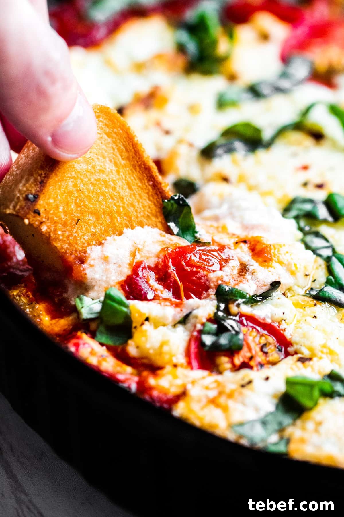 Baked Goat Cheese Dip with Marinara: Creamy Oven-Baked Recipe 7 Hand dipping bread into dip.