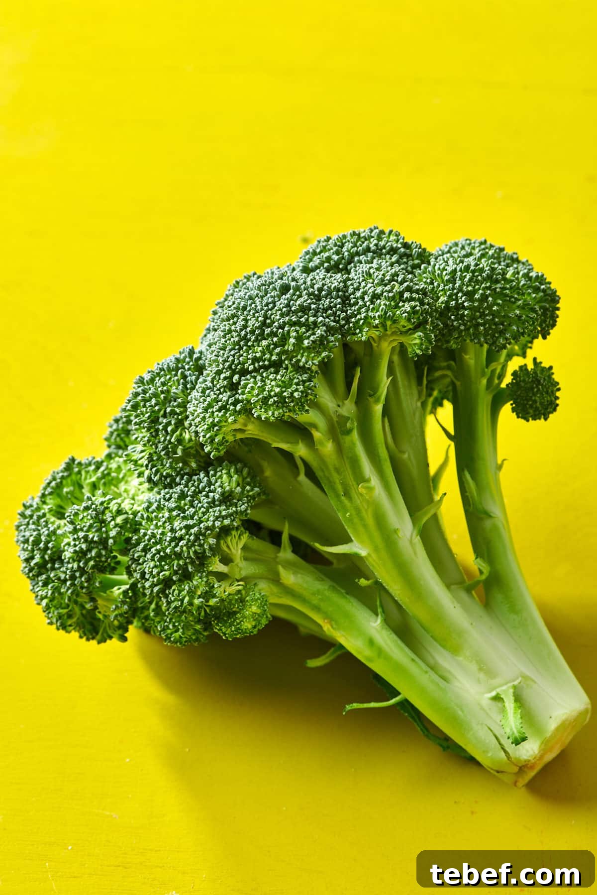 How to Trim, Chop, and Cook Broccoli for Perfect Results 2 Head of fresh broccoli in yellow table.
