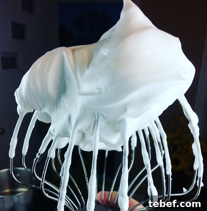 Aquafaba Swiss Meringue Buttercream Recipe 3 Aquafaba Whipped Meringue
