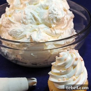 Aquafaba Swiss Buttercream Recipe