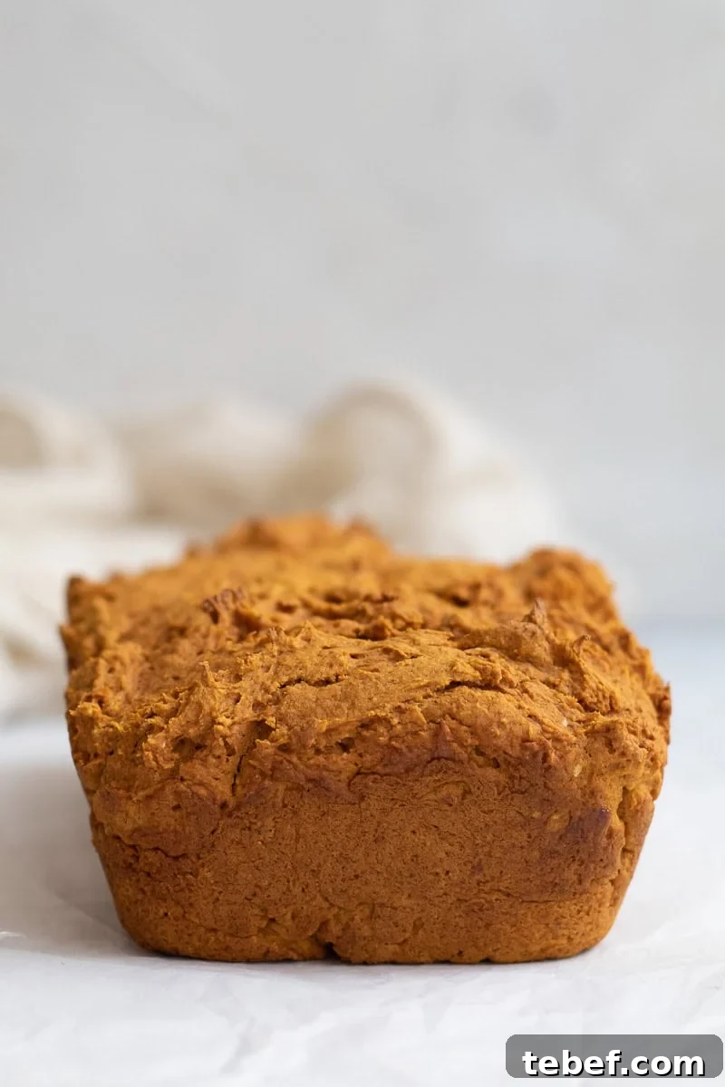 Two-Ingredient Pumpkin Spice Cake Bread (From Spice Cake Mix) 2 whole pumpkin loaf