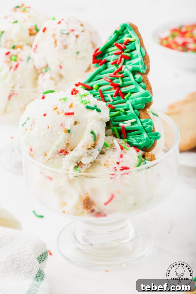 Festive Christmas Ice Cream Recipes and Holiday Flavors Guide 2 a wide, short, glass ice cream dish with scoops of christmas ice cream and a green frosted tree cookie topper.