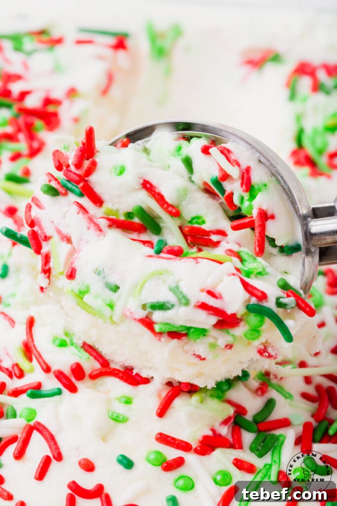 Festive Christmas Ice Cream Recipes and Holiday Flavors Guide 5 vanilla ice cream topped with red and green christmas sprinkles being scooped by a large ice cream scoop