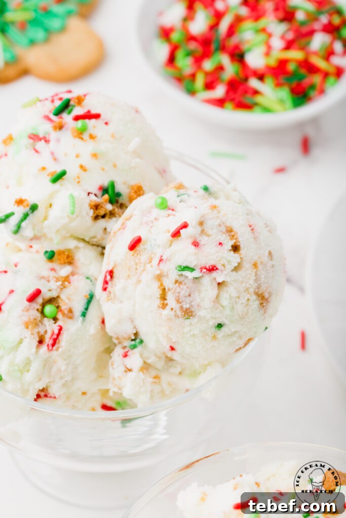 Festive Christmas Ice Cream Recipes and Holiday Flavors Guide 6 closeup view of a dish of ice cream with christmas sprinkles and christmas cookies inside.