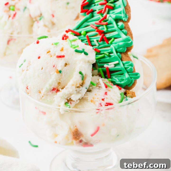 a wide, short, glass ice cream dish with scoops of christmas ice cream and a green frosted tree cookie topper.