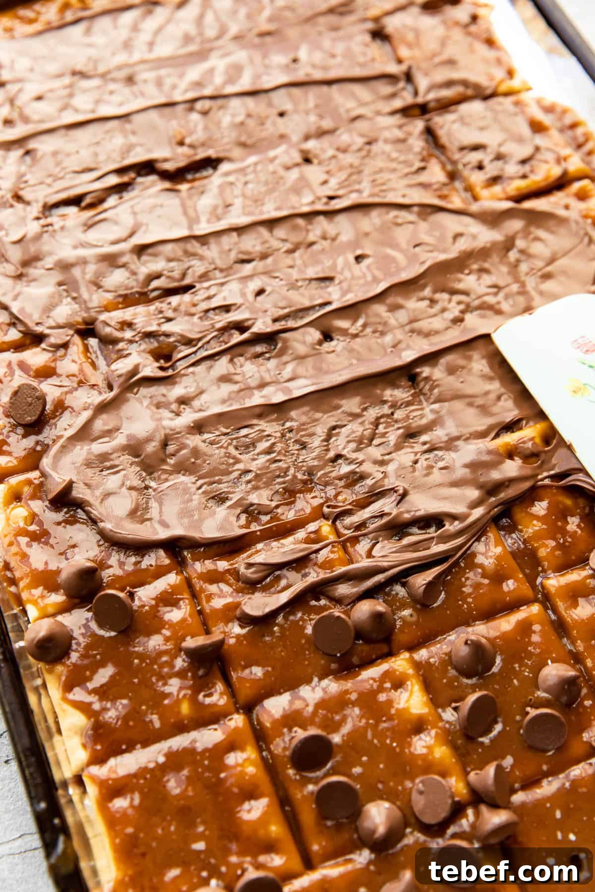 Saltine Toffee (Christmas Crack) — Sweet and Salty Holiday Candy 8 Topping with pecans and sprinkles