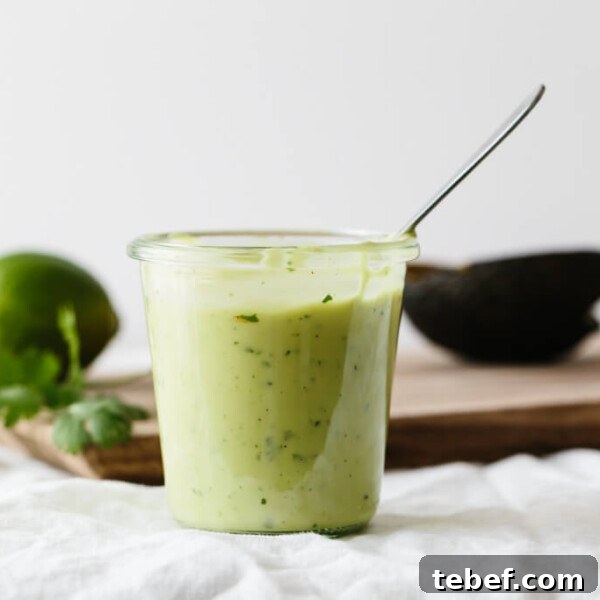 14 Flavorful Salad Dressings and Vinaigrettes for Fresh Salads 14 A creamy avocado dressing that's perfect for all your healthy salad recipes.