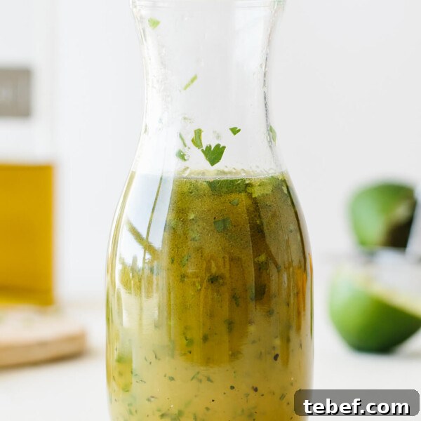 14 Flavorful Salad Dressings and Vinaigrettes for Fresh Salads 7 Citrus lime vinagrette made from orange juice, lime juice, chopped cilantro, diced jalapeno, olive oil salt and pepper.