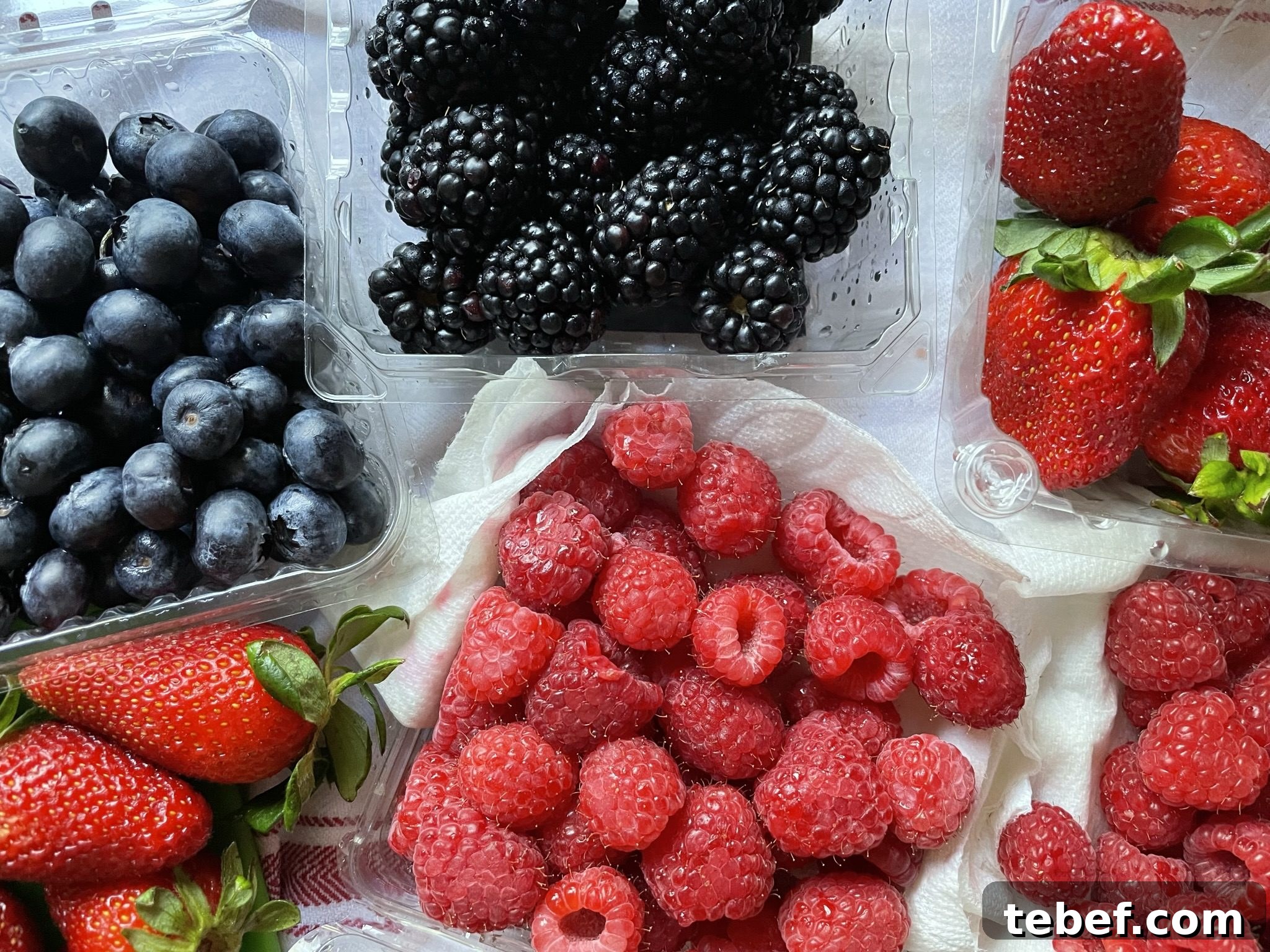 Summer berries