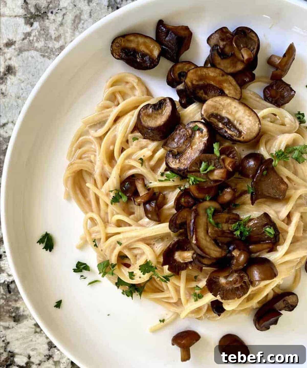 Creamy Mushroom pasta recipe on a plate served with parsley garnish.