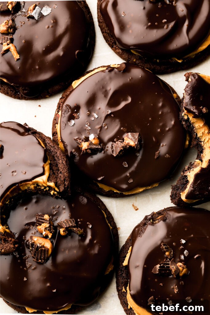 buckeye cookies topped with sea salt and peanut butter cookies